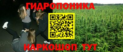 стафф Заводоуковск