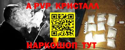 стафф Заводоуковск