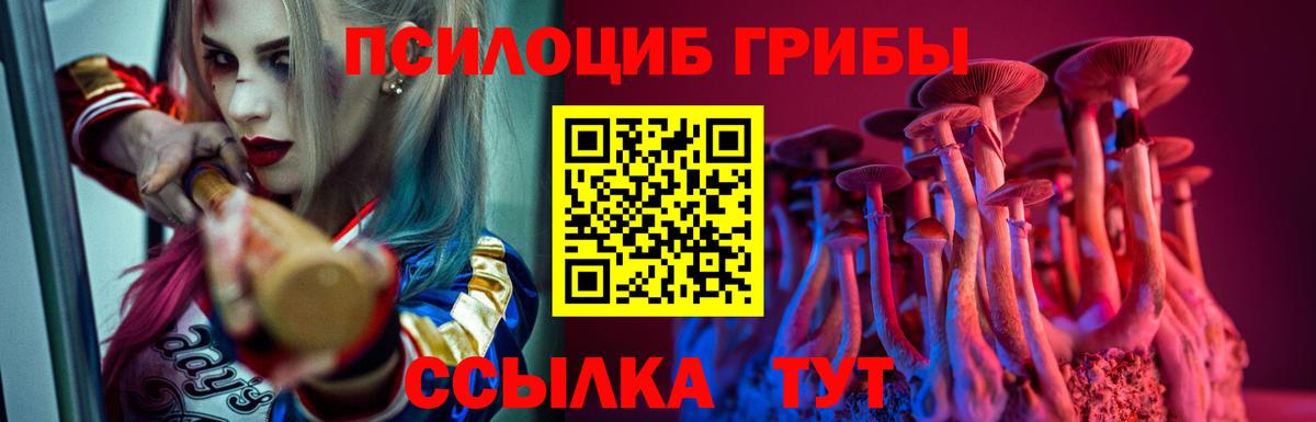 что такое   Галлюциногенные грибы Magic Shrooms  Вход с VPN  Ливны  Псилоцибиновые грибы Psilocybine cubensis 